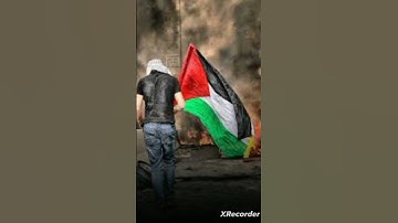 واقف لا تهرب من صوت قران لو انت تحب غزة و فلسطين واقف #القارئ_اسلام_صبحي