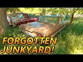 FORGOTTEN Classic Car Hoard Tour! Tri-Five Chevys, Impalas, Mustangs, Etc! (Old Car Junkyard) Pt.1