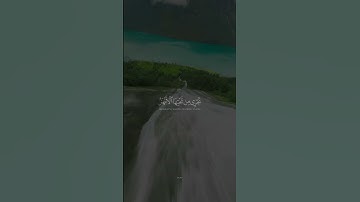 قال الله هذا يوم ينفع الصادقين صدقهم /سورة المائدة |الشيخ ياسر الدوسري