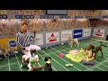 The Puppy Bowl