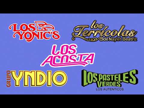 FREDDY'S TERRICOLAS INDIO