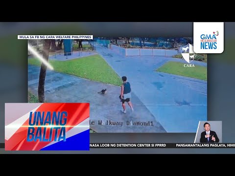 Chinese na nag-viral matapos manipa ng pusa, ipapa-deport matapos mabistong... | Unang Balita
