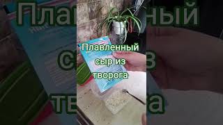 Плавленый сыр из творога#диета #сыр