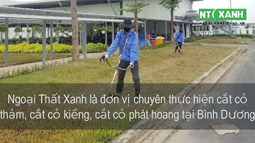 Dịch vụ cắt cỏ, cắt tỉa cây KCN Bình Dương