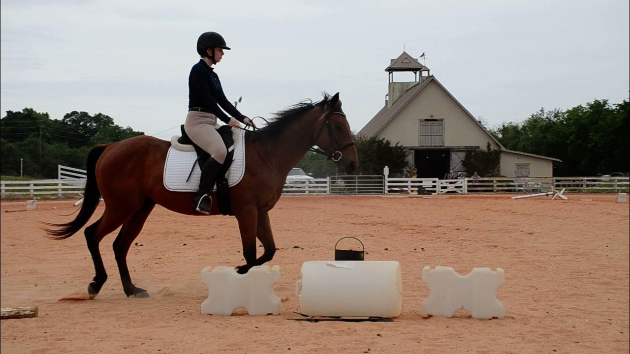 USDF Intro Test C Kristen Mobley and Indy YouTube