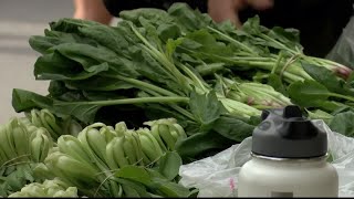 Missoula farmers markets open for the season