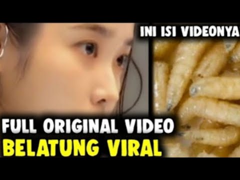 LINK BELATUNG VIRAL VIDEO TIKTOK & TWITTER!! CEK DESKRIPSI