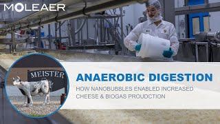 Anaerobic Digestion: Nanobubbles Enable Meister Cheese to Increase Biogas & Cheese Production