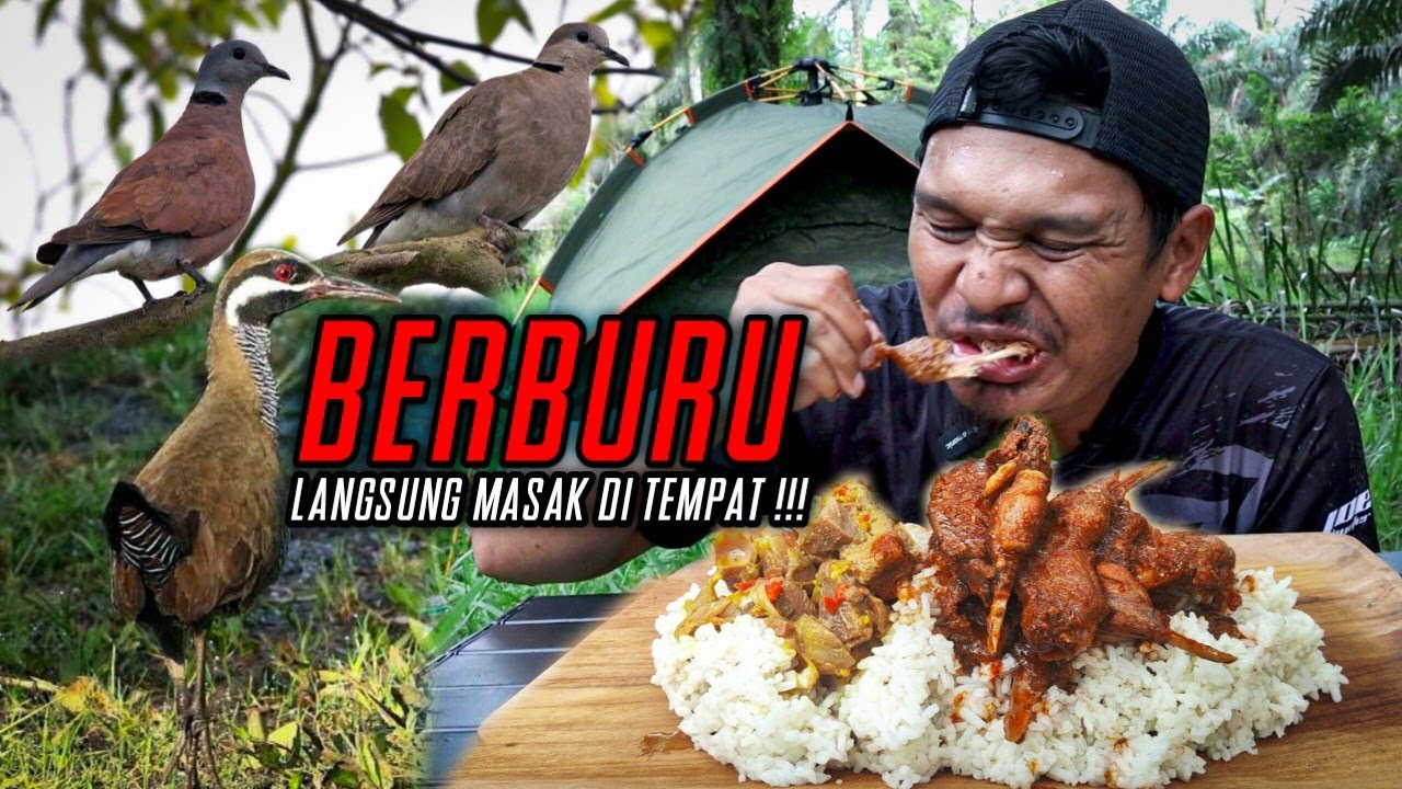 MAKNYUUUSS‼️BURUNG UNGKEP PALING GURIH‼️BERBURU RUAK WERIS DAN TEKUKUR PUTER GENI‼️MEMASAK & MUKBANG