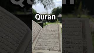 #quran#with#urdu#translation😍✨️