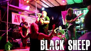 BLACK SHEEP - Live Wackel Kirchgärten-Open Air 2016 in Daxlanden