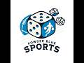 Why I Love the Powder Blue Sports Games | Evolution of Baseball