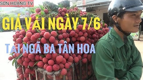 Cập Nhật Giá Vải Thiều Lục Ngạn ngày 7/6 Tại ngã ba Tân Hoa ( Luc Ngan litchi )