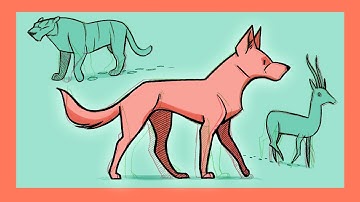 How to animate an animal WALK cycle