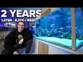 What happened to the 8000l reef tank  after 2 years