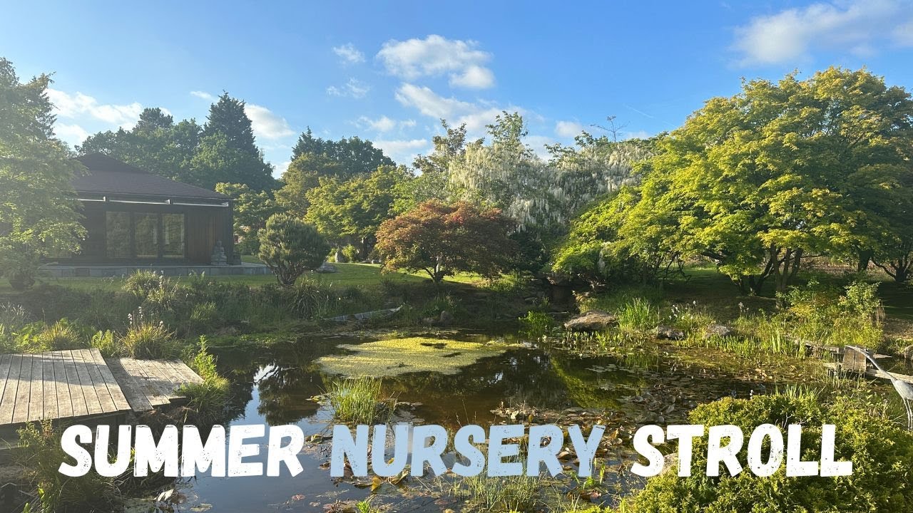 Summer Nursery Walk - YouTube