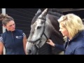 How to Fit the Micklem Bridle