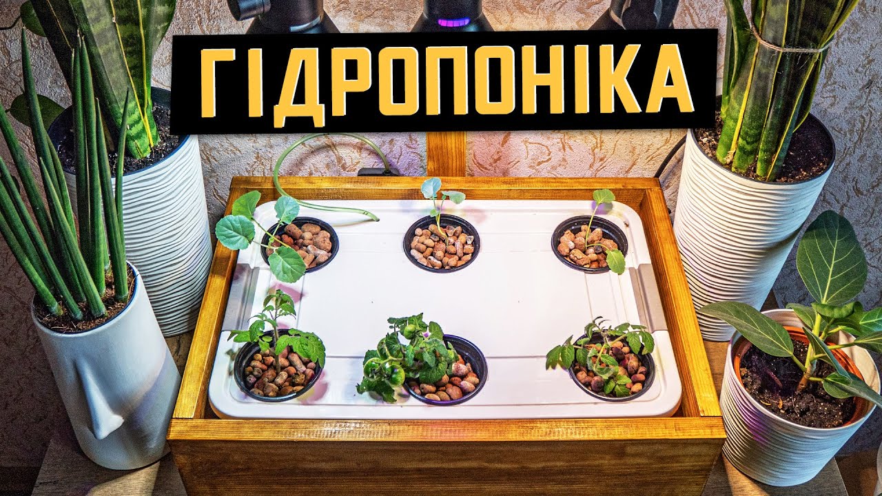 Гідропоніка DWC своїми руками