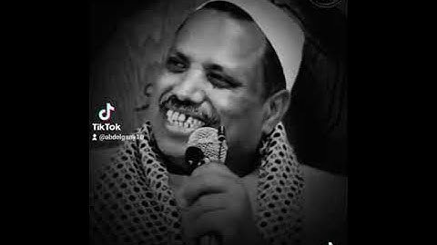 الشيخ عبدالغني العقالي يوصف سورة مريم رضي الله عنها