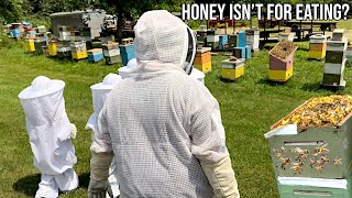 Why Honey Is Not Just Meant For Eating | Inside the Fascinating World of Bees | growithjessie