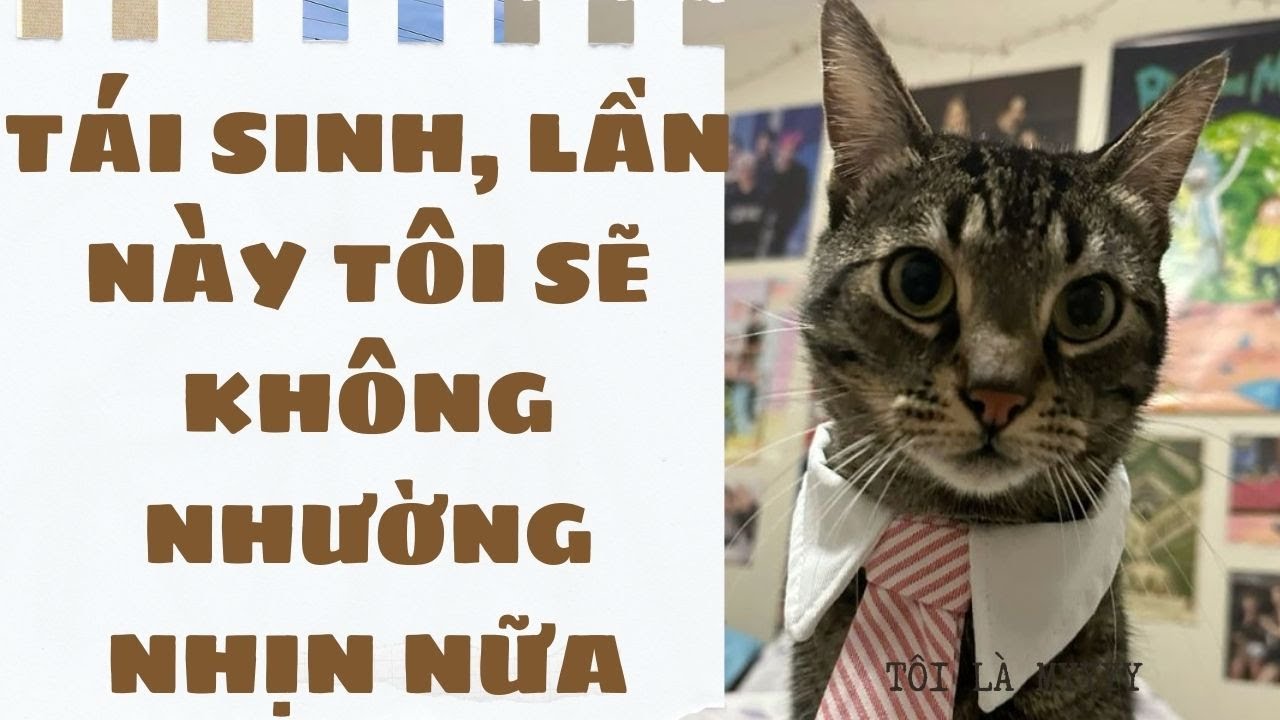 [Truyện Audio ] [FULL] TÁI SINH, LẦN NÀY TÔI SẼ KHÔNG NHƯỜNG NHỊN NỮA || Sora Bé Bỏng