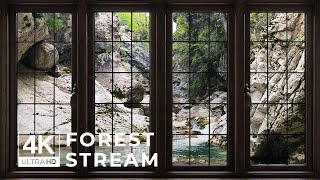 4K Forest Stream window View - Relaxing, Calming, Ambience