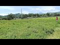 Jambore GBI Sulutgo 2025 Pengukuran Lahan 1