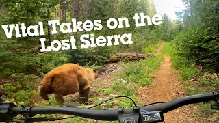 Vital Takes on the Lost Sierra - Miles and Miles of Epic Trails Near Downieville