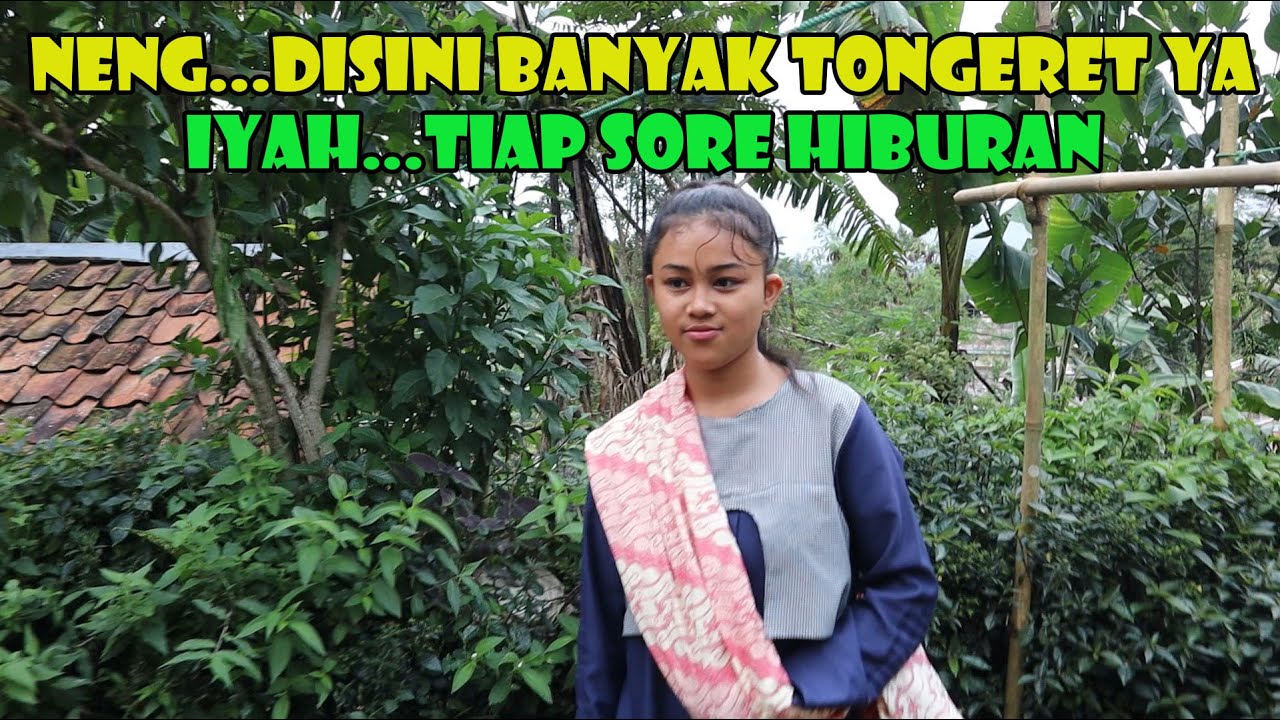 Saat Sore Suasana Kampung Jadi Lebih Hangat, Mereka Melepas Lelah Bersama Tetangga .