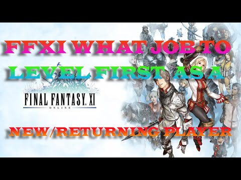 FFXI  what job to level first as a new or returning player