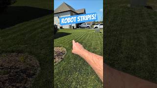 Can a robot mower stripe your yard? #ecovacs #robotmower #lawnstripes