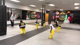 Black Tiger Martial Arts York, Tiny Tigers