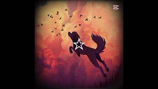 𝔖𝔨𝔞𝔦𝔩𝔩𝔞 𝔳𝔦𝔟𝔢𝔰 .