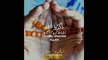 سورة آل عمران: ١٣٥|Al e Imran: 135|سليم باهانان|Salim Bahanan|قرآن اردو ترجمہ|Quran Urdu Translation