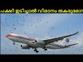 പക്ഷി ഇടിച്ചാൽ വിമാനം തകരുമോ ? | What Happens When Bird Strikes An Aircraft