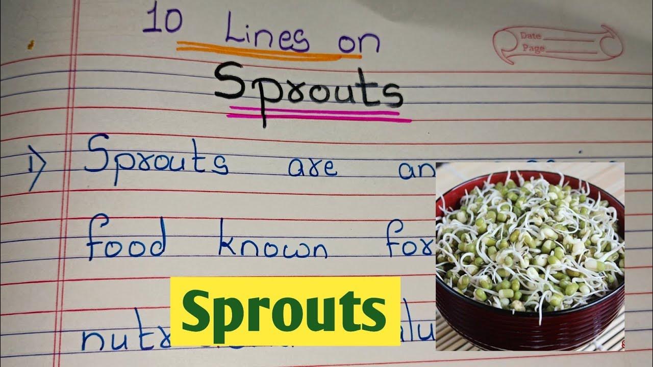 10 Lines on Sprouts // essay on sprouts // few sentences about sprouts