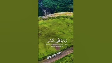 تلاوة خاشعة تريح القلب قرأن كريم راحة نفسية #قران_كريم #elmulquranعلم #اكسبلور #المصحف #trend