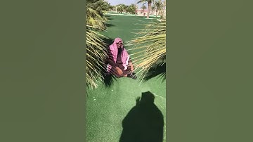 دحيم الحماد ١٤٤٢هـ تلاوة من سورة هود