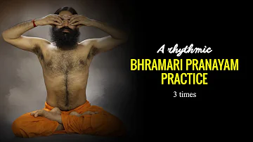 Rhythmic Music for Bhramari Pranayam Practice |Baba Ramdev #Humming_Bee_Breathing #भ्रामरी_प्राणायाम