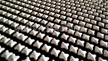 WENVA Filled biscuit production line, Kokomo / Cocomo biscuit plant, bear biscuit production line