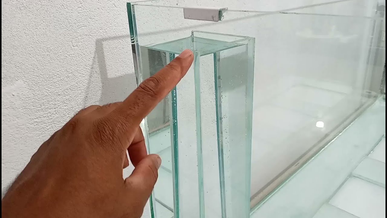 Bota  para Aquário colagem e Teste Modelo Fácil e eficiente.