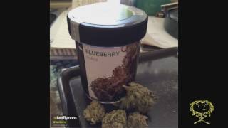 Certified Pothead - Blueberry