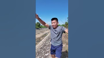 Giúp đỡ ông lão mù | Tân ối á