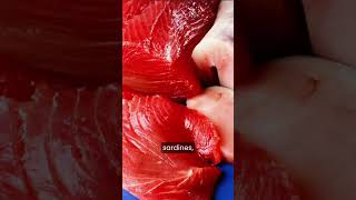 Why Choosing More Fish Than Meat Can Improve Your Health
