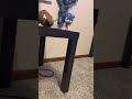 Play date with friends