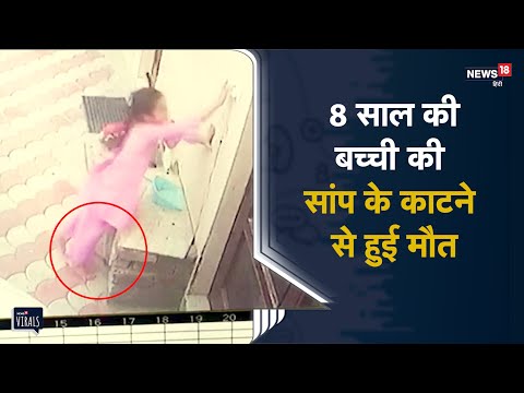 Chandigarh | 8 साल की बच्ची की सांप के काटने से हुई मौत, CCTV में कैद | Viral Video