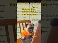 Studying Ghost Behavior | No Evidence Run #Phasmophobia #NoEvidenceRun #GhostHunting #funny