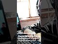 Game-Winning Focus 🎮 Electronic Music for Competitive Gamers 2025 | Binaural Beats &amp; Flow State EDM