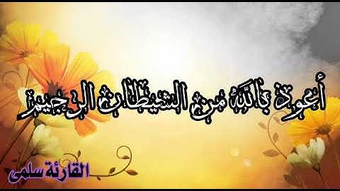 آيات بينات من الذكر الحكيم ⁦سورة يوسف