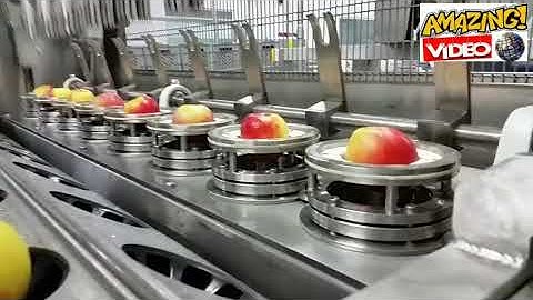 Food Production Machines that are on next level, Amazing food Industry Machines, Future Machines